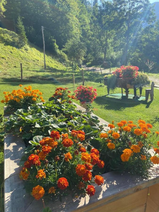 Turisticna Kmetija Cercek Vila Solčava Exterior foto