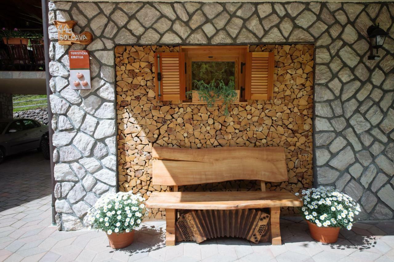 Turisticna Kmetija Cercek Vila Solčava Exterior foto