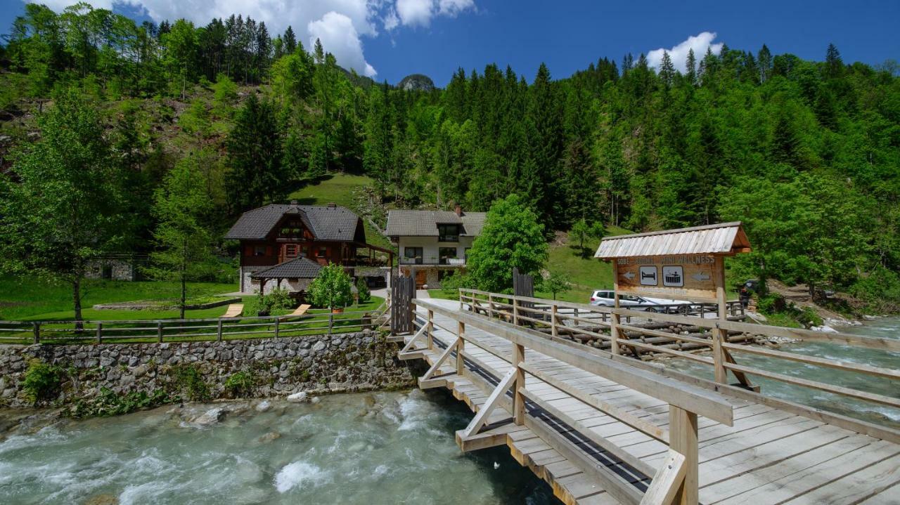Turisticna Kmetija Cercek Vila Solčava Exterior foto